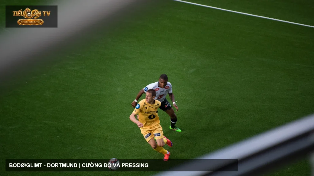 Cầu thủ FK Bodø/Glimt trong màu áo vàng